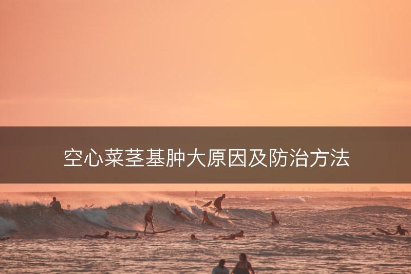 空心菜茎基肿大原因及防治方法(图1)