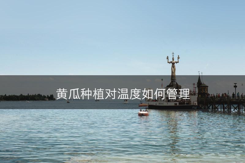 黄瓜种植对温度如何管理(图1)