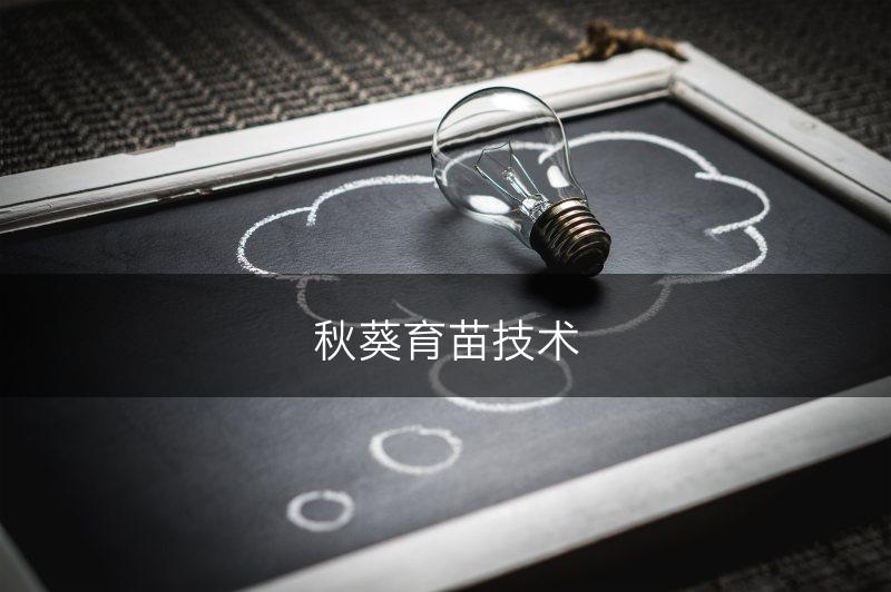 秋葵育苗技术(图1)