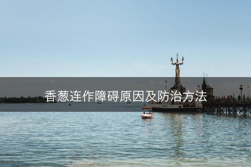 香葱连作障碍原因及防治方法(图1)