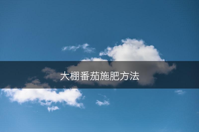 大棚番茄施肥方法(图1)