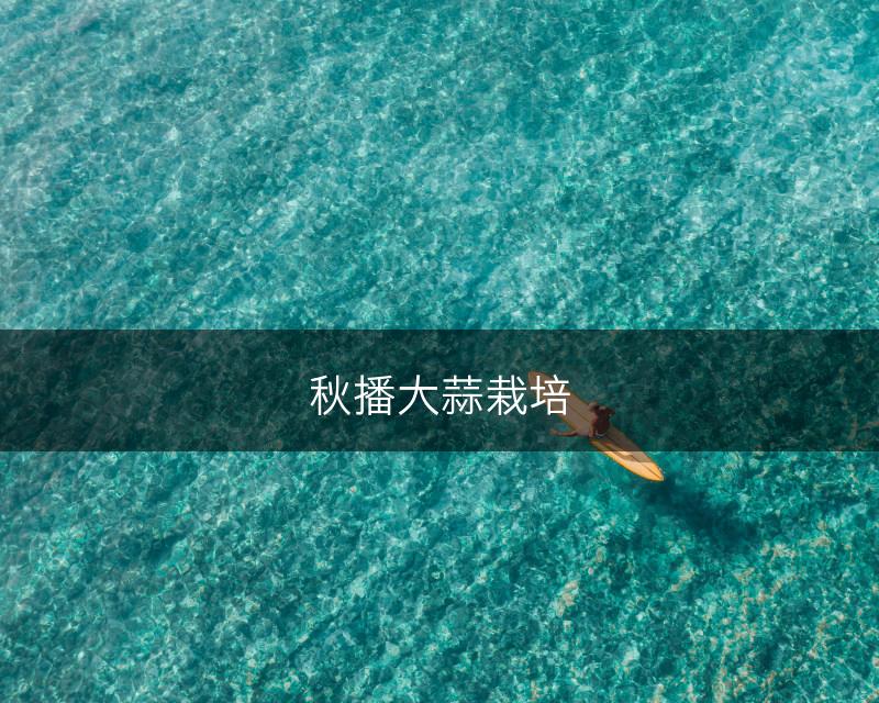 秋播大蒜栽培(图1)