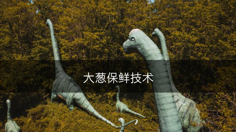 大葱保鲜技术(图1)