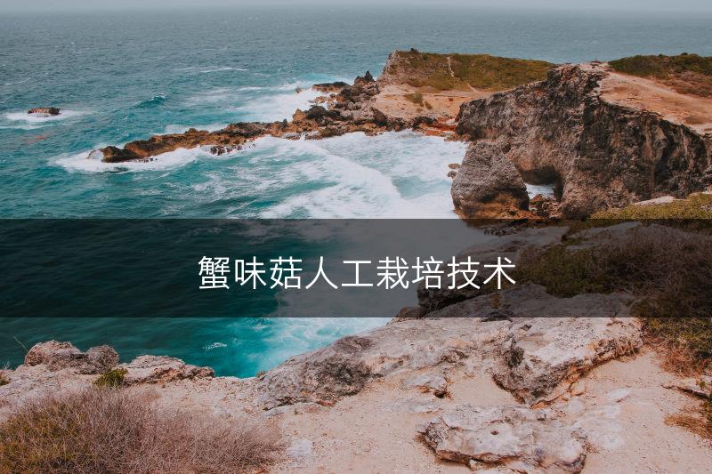 蟹味菇人工栽培技术(图1)