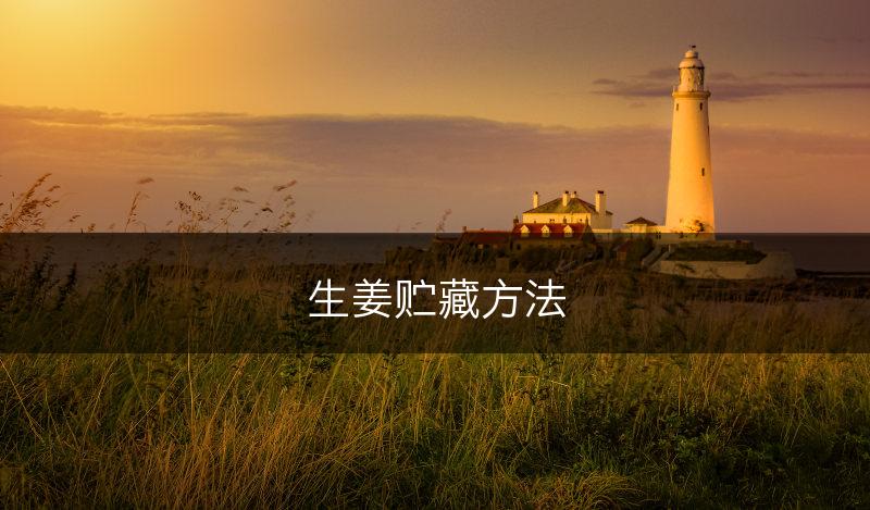 生姜贮藏方法(图1)