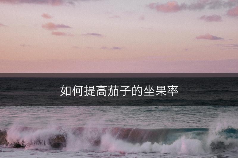 如何提高茄子的坐果率(图1)