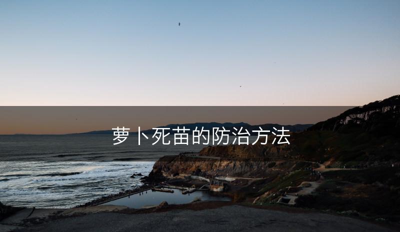 萝卜死苗的防治方法(图1)