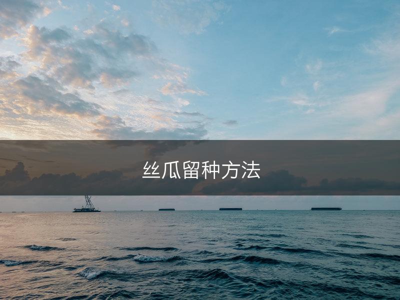 丝瓜留种方法(图1)