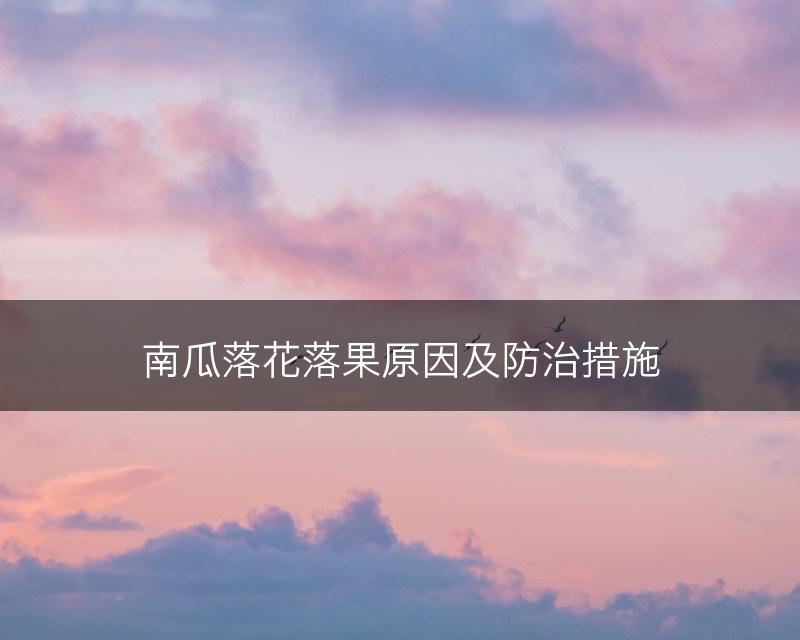 南瓜落花落果原因及防治措施(图1)