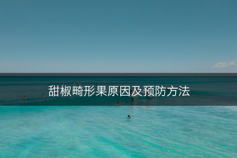 甜椒畸形果原因及预防方法(图1)