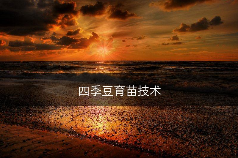 四季豆育苗技术(图1)