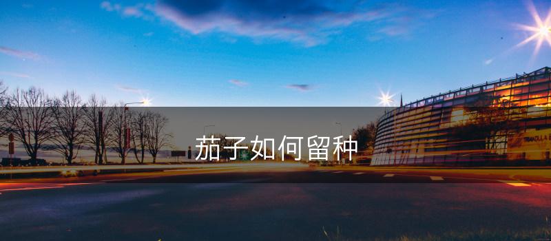 茄子如何留种(图1)