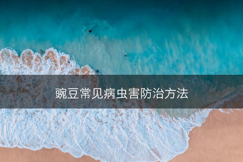 豌豆常见病虫害防治方法(图1)