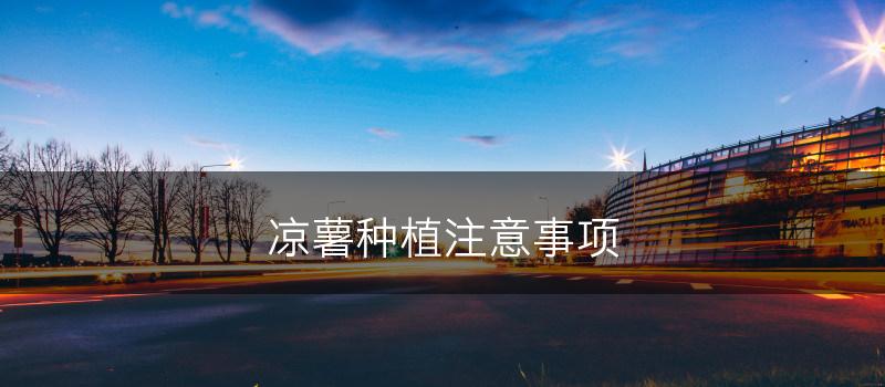 凉薯种植注意事项(图1)