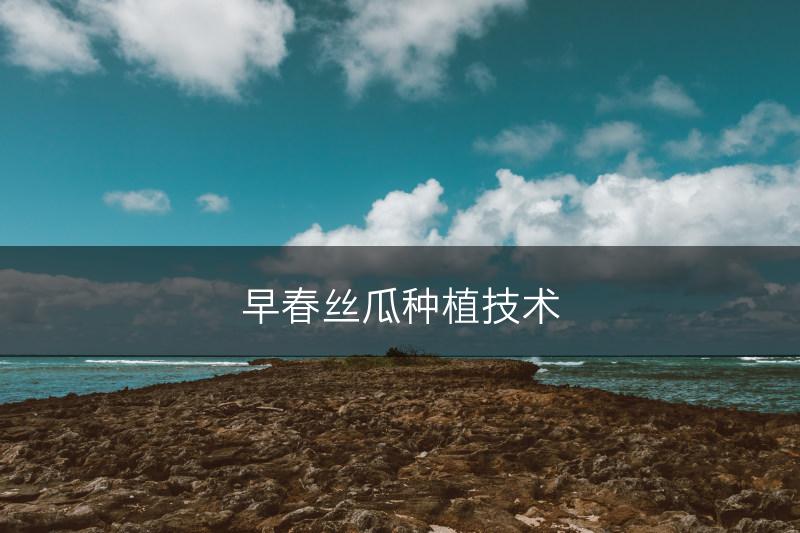 早春丝瓜种植技术(图1)