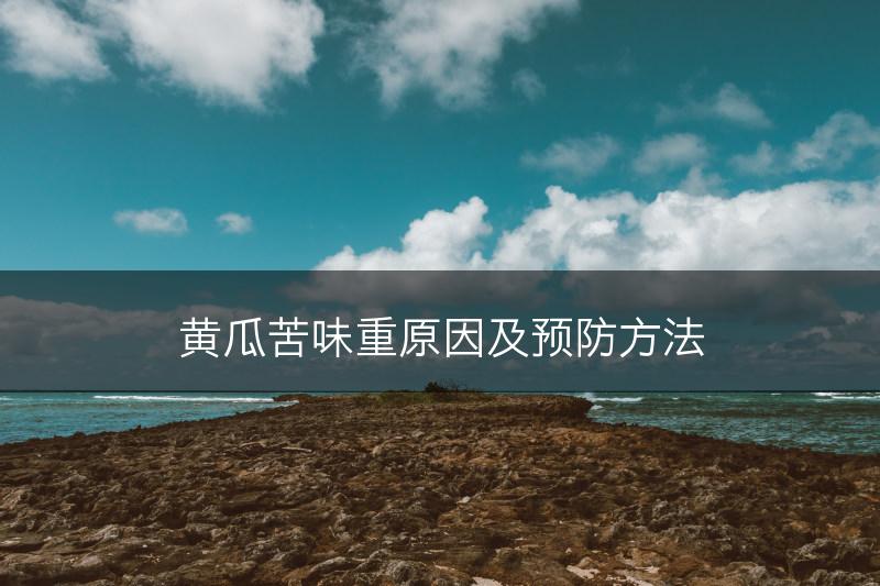 黄瓜苦味重原因及预防方法(图1)