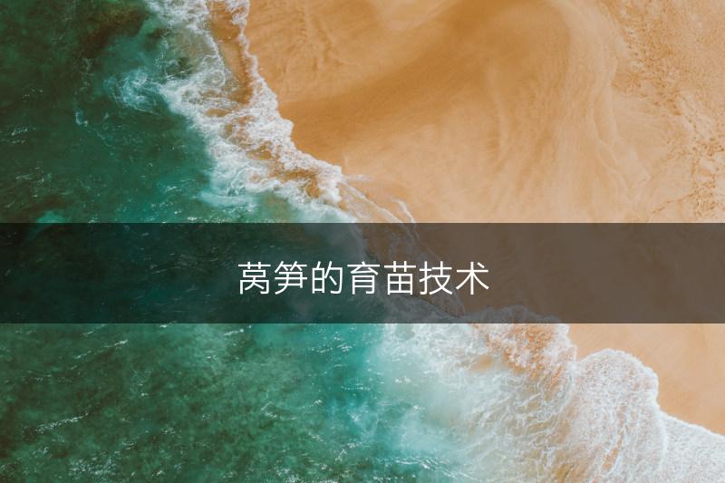 莴笋的育苗技术(图1)