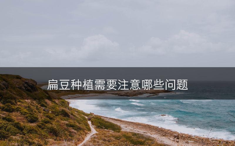 扁豆种植需要注意哪些问题(图1)
