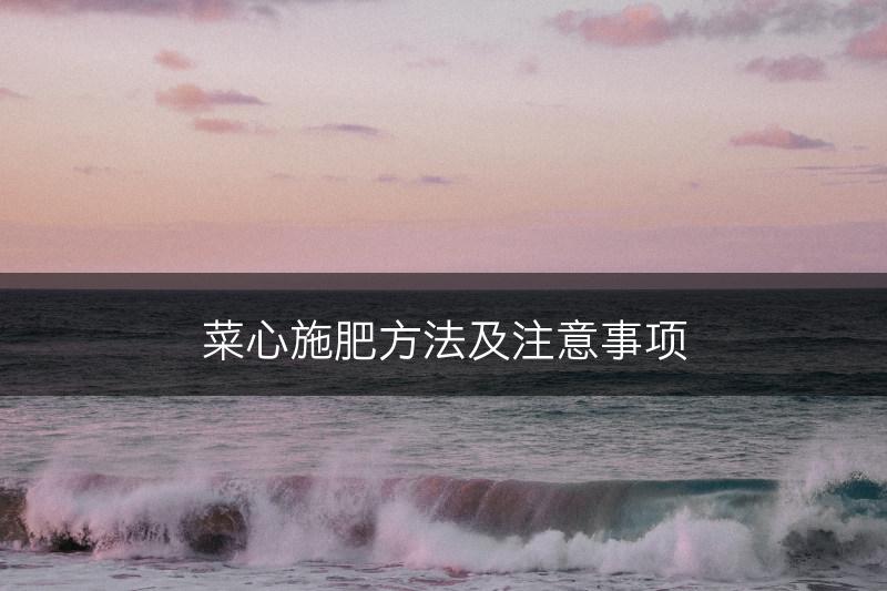 菜心施肥方法及注意事项(图1)