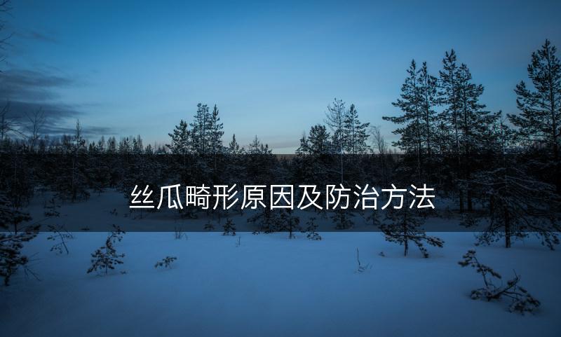 丝瓜畸形原因及防治方法(图1)