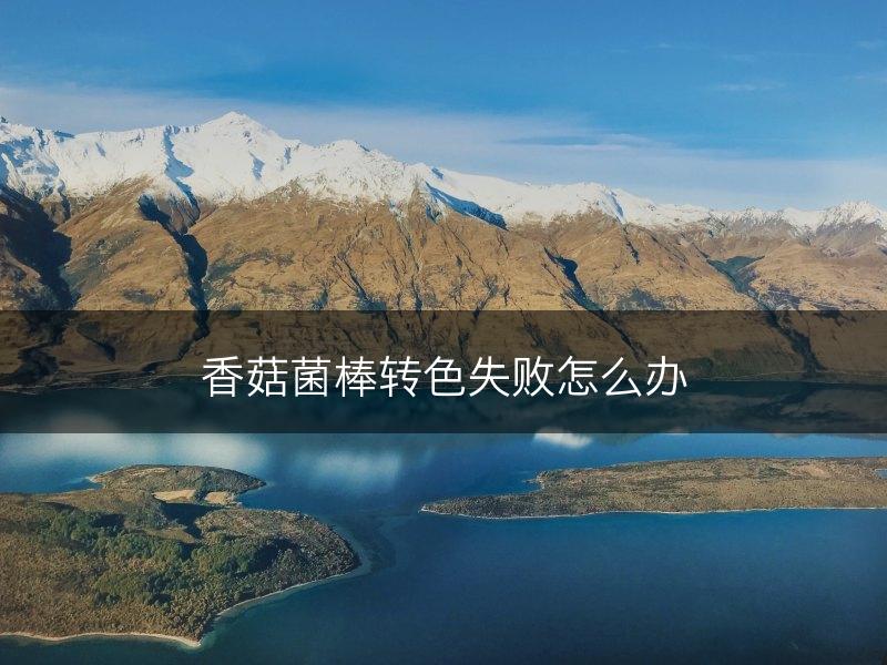 香菇菌棒转色失败怎么办(图1)