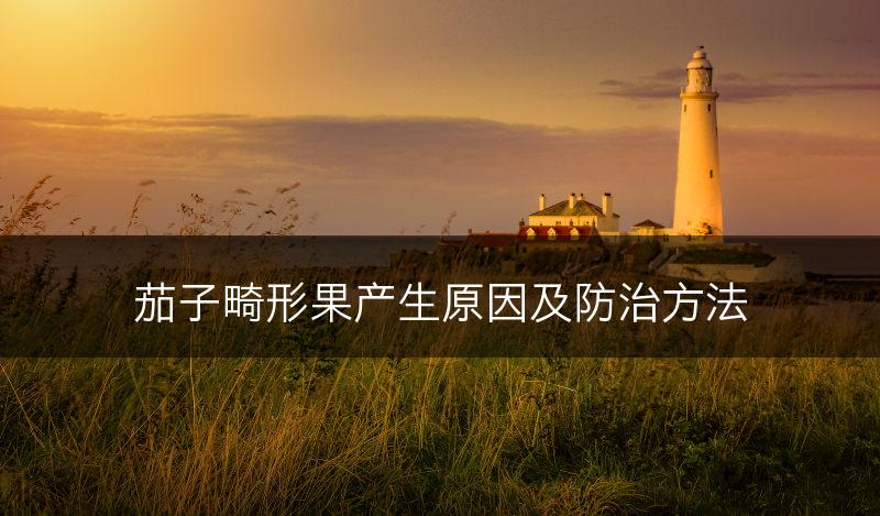 茄子畸形果产生原因及防治方法(图1)