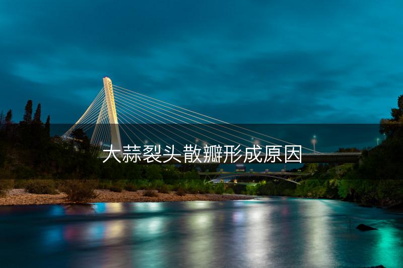 大蒜裂头散瓣形成原因(图1)