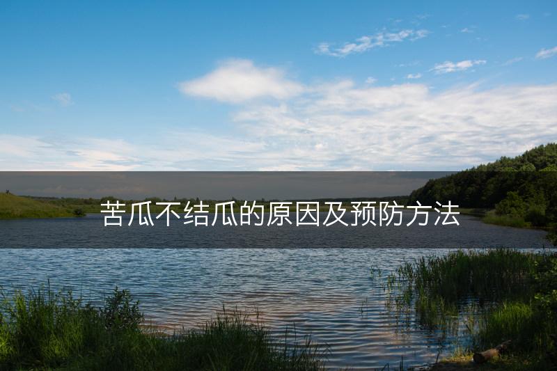 苦瓜不结瓜的原因及预防方法(图1)