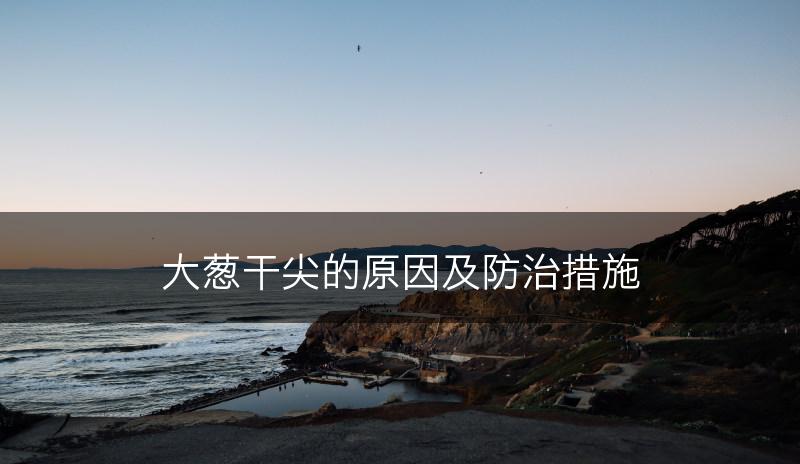 大葱干尖的原因及防治措施(图1)