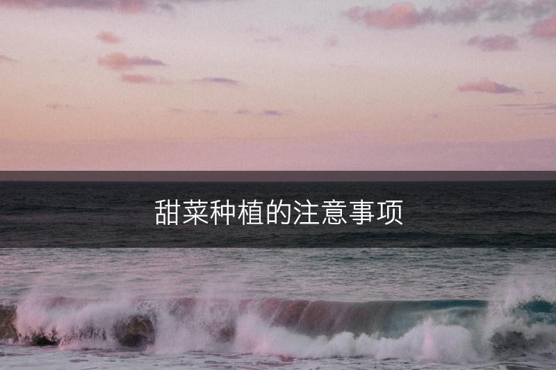 甜菜种植的注意事项(图1)