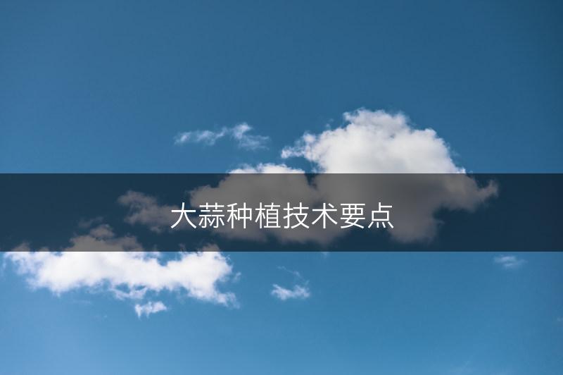 大蒜种植技术要点(图1)