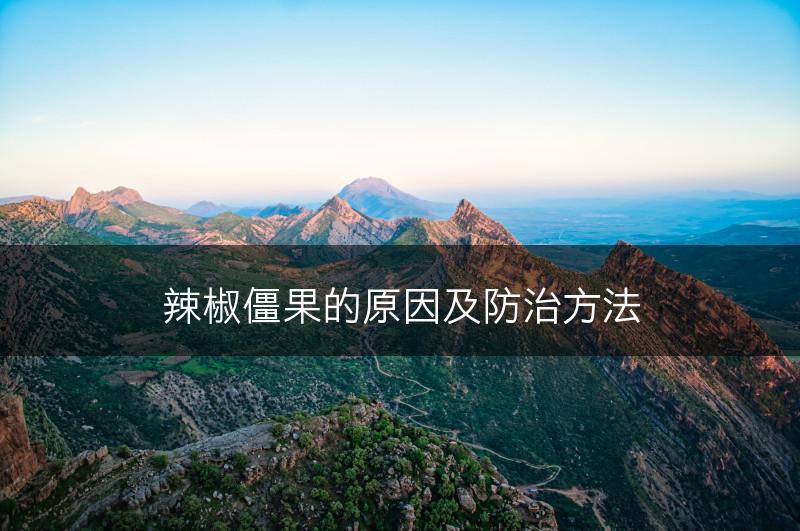 辣椒僵果的原因及防治方法(图1)