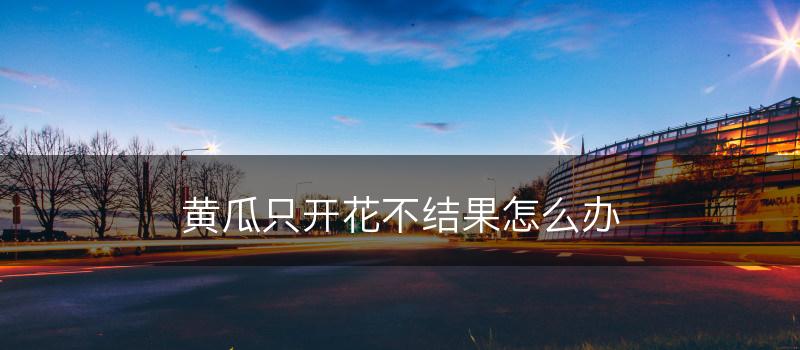 黄瓜只开花不结果怎么办(图1)