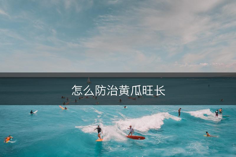 怎么防治黄瓜旺长(图1)