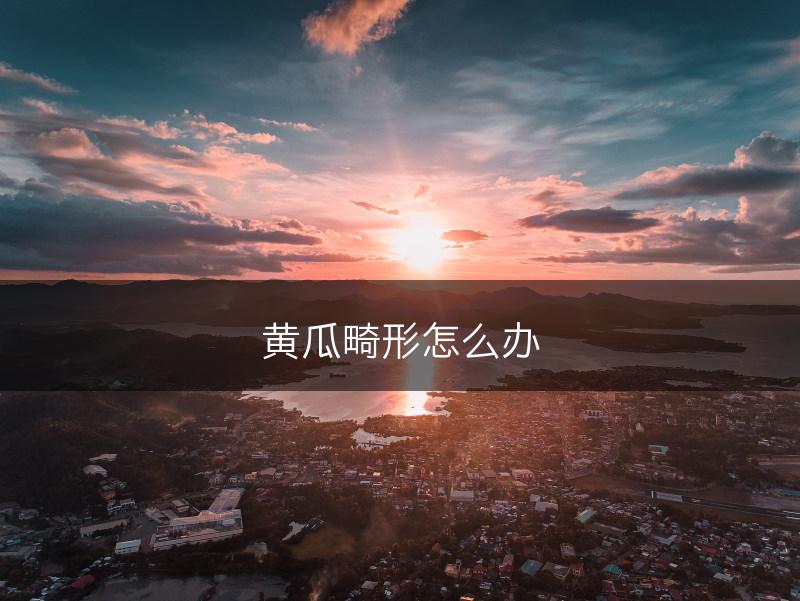 黄瓜畸形怎么办(图1)