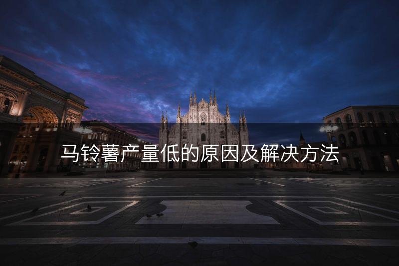 马铃薯产量低的原因及解决方法(图1)