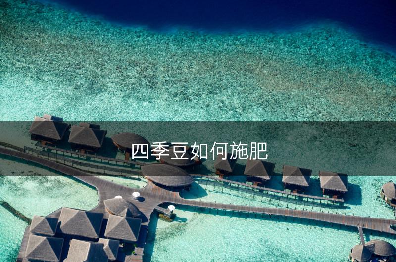 四季豆如何施肥(图1)