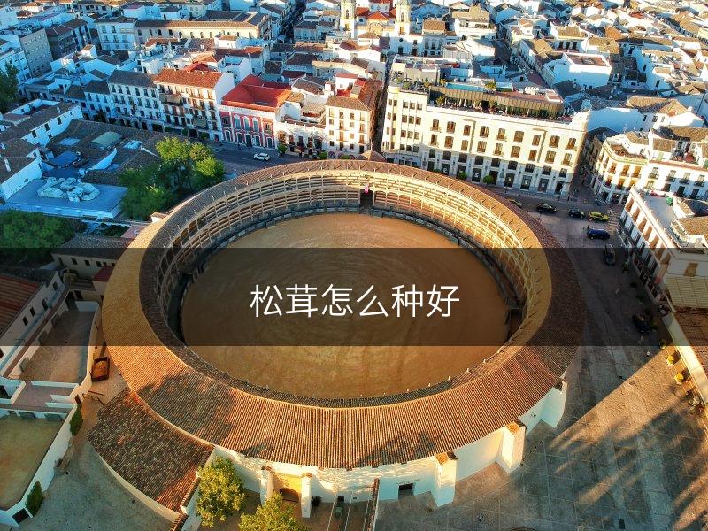 松茸怎么种好(图1)