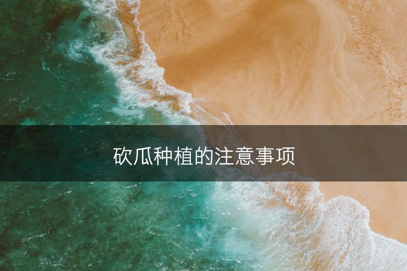 砍瓜种植的注意事项(图1)