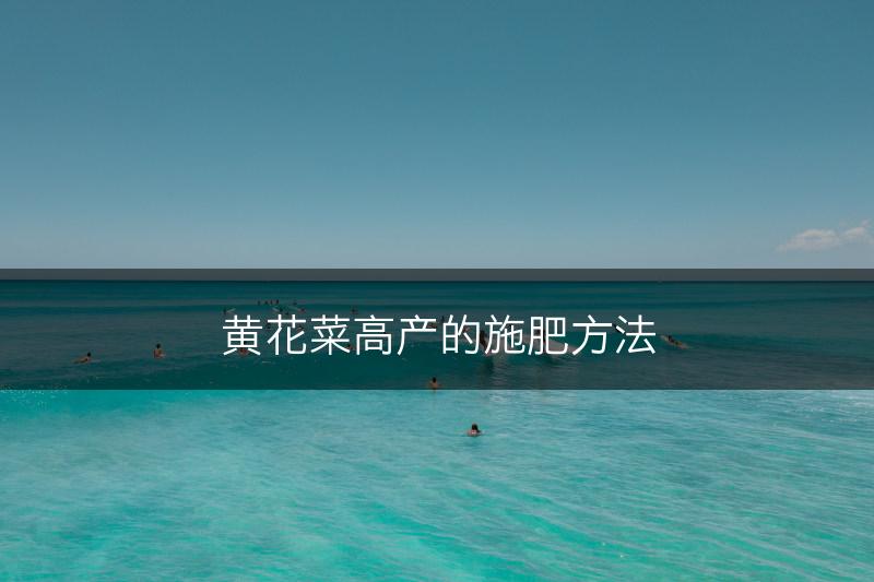 黄花菜高产的施肥方法(图1)