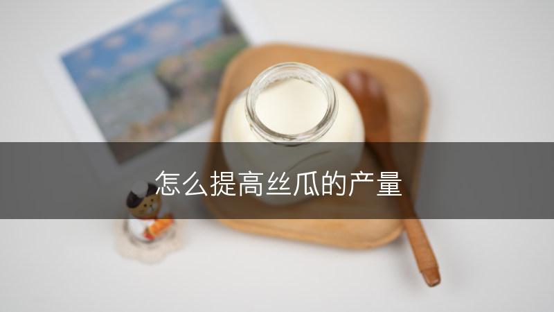 怎么提高丝瓜的产量(图1)