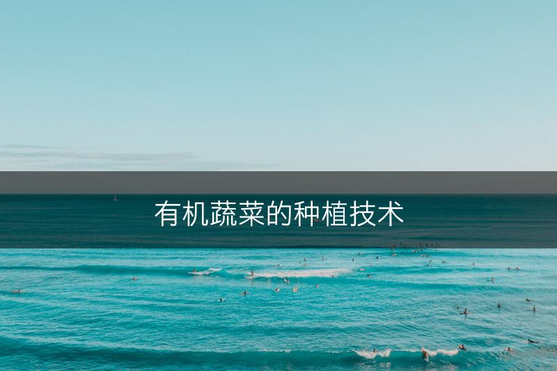 有机蔬菜的种植技术(图1)
