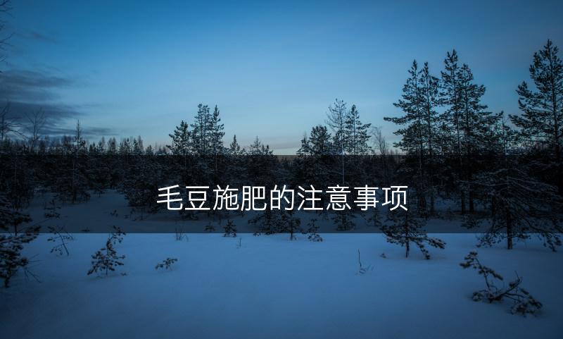 毛豆施肥的注意事项(图1)