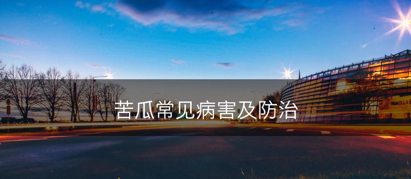 苦瓜常见病害及防治(图1)