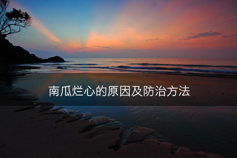 南瓜烂心的原因及防治方法(图1)