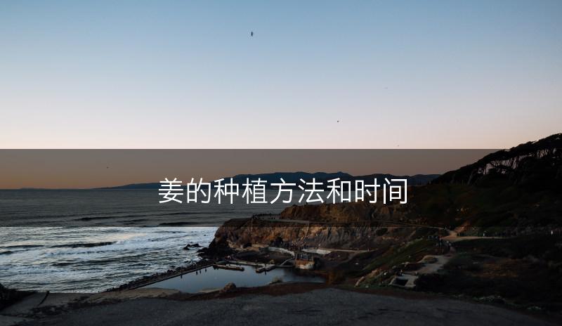 姜的种植方法和时间(图1)