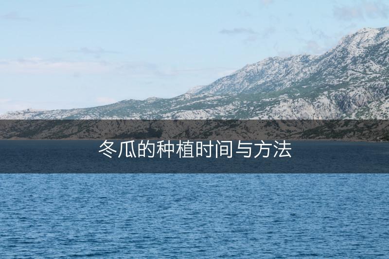 冬瓜的种植时间与方法(图1)
