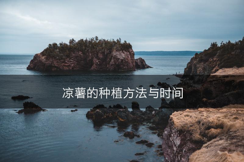 凉薯的种植方法与时间(图1) 凉薯的种植方法与时间(图1)