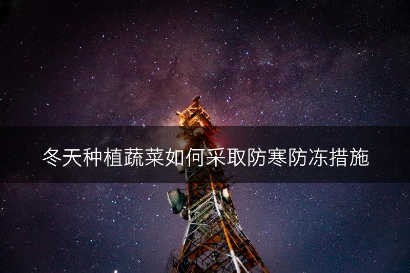 冬天种植蔬菜如何采取防寒防冻措施(图1)