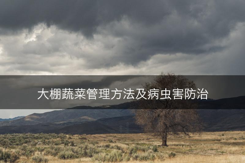 大棚蔬菜管理方法及病虫害防治(图1) 大棚蔬菜管理方法及病虫害防治(图1)